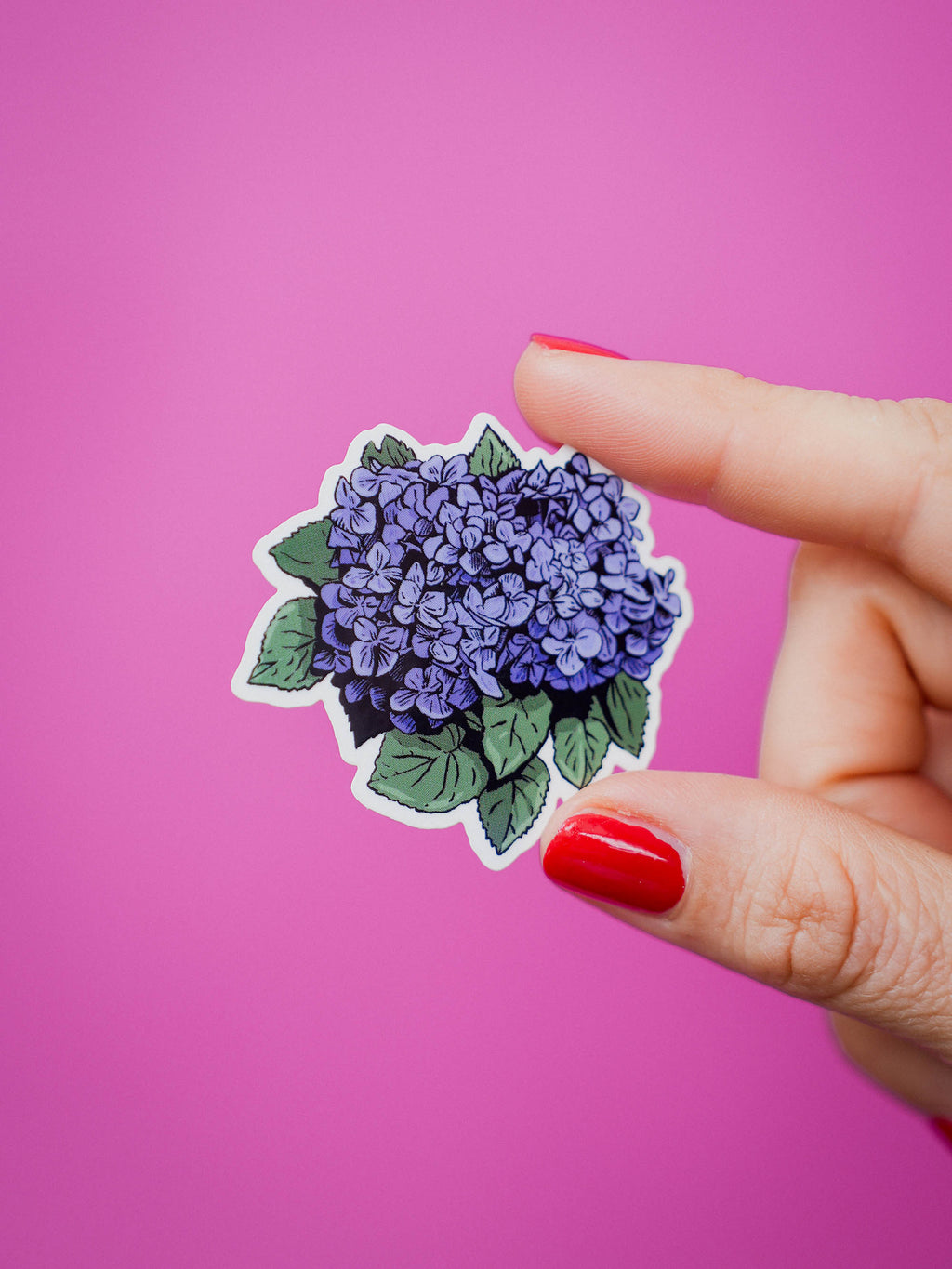 Pack 4 stickers - Fleurs